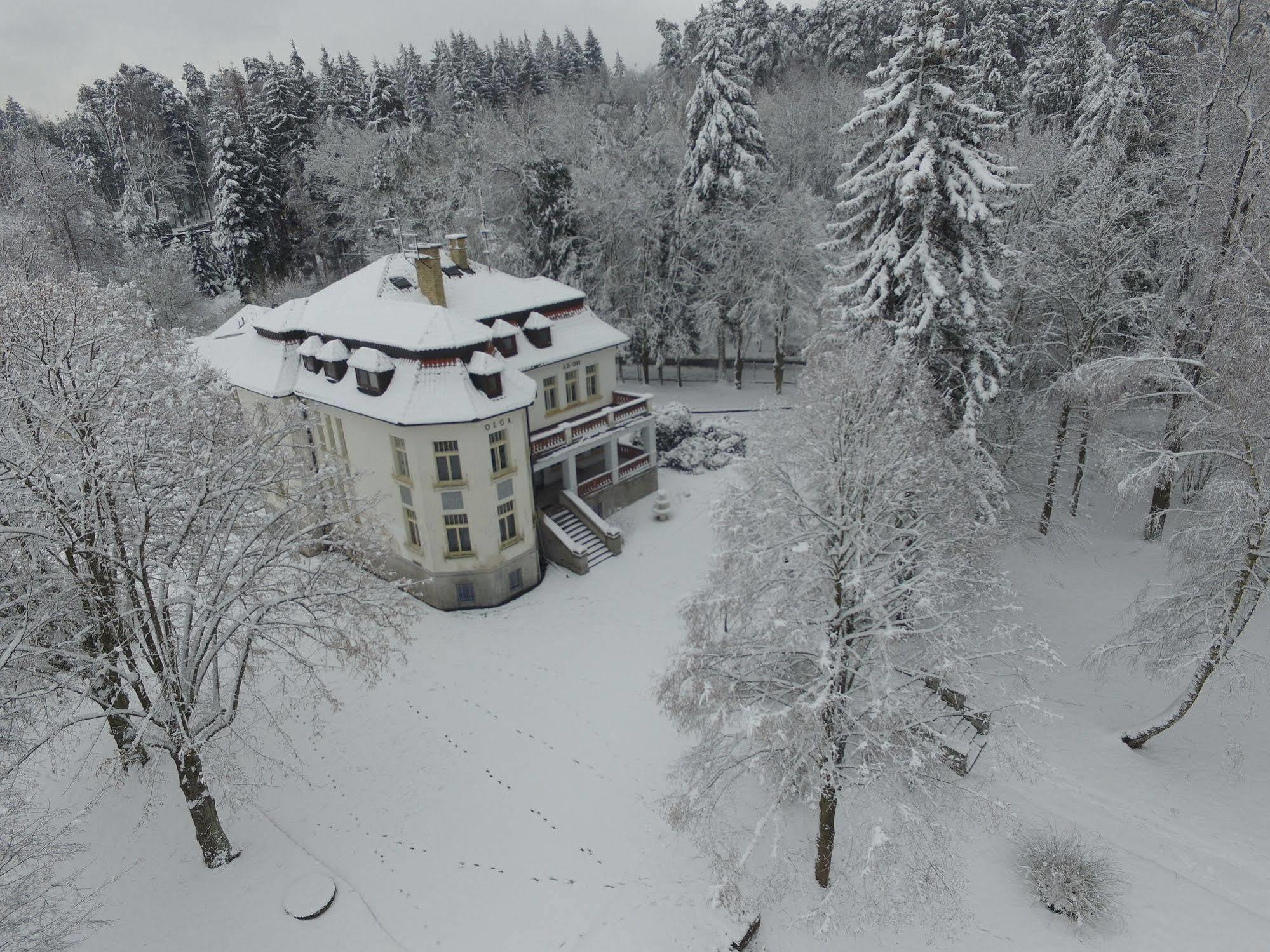 Vila Olga Jevany Экстерьер фото